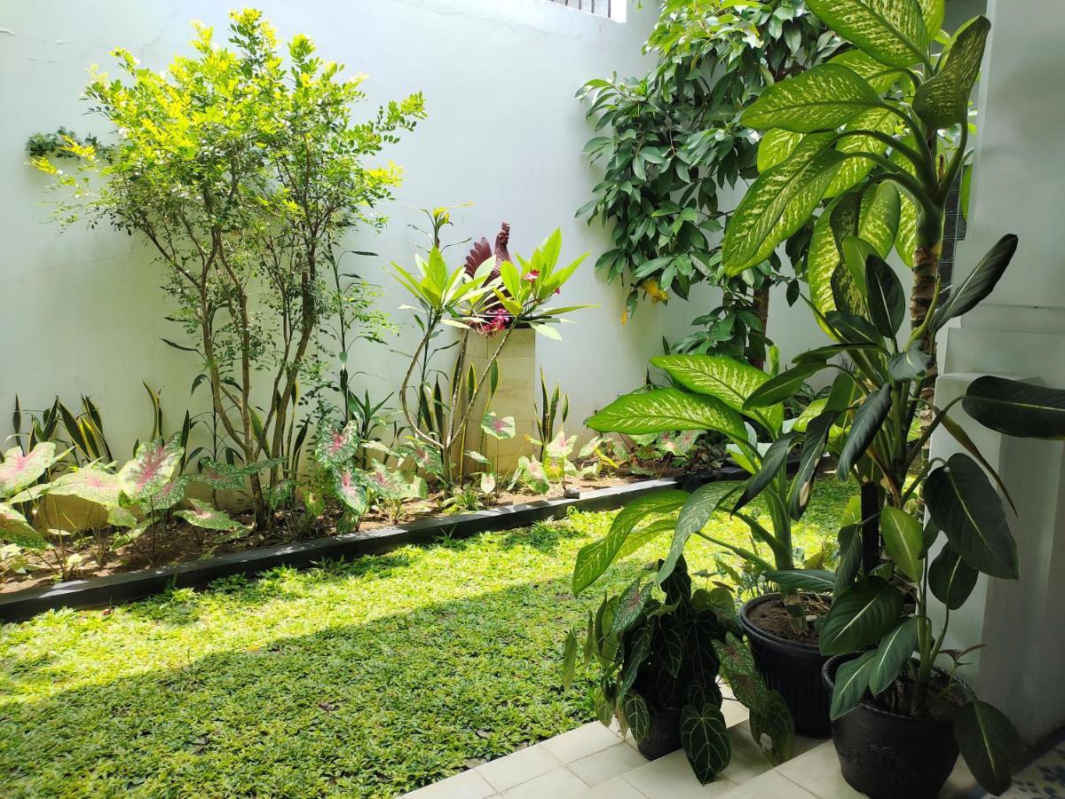 Griya Asih Hotel Yogyakarta Luaran gambar